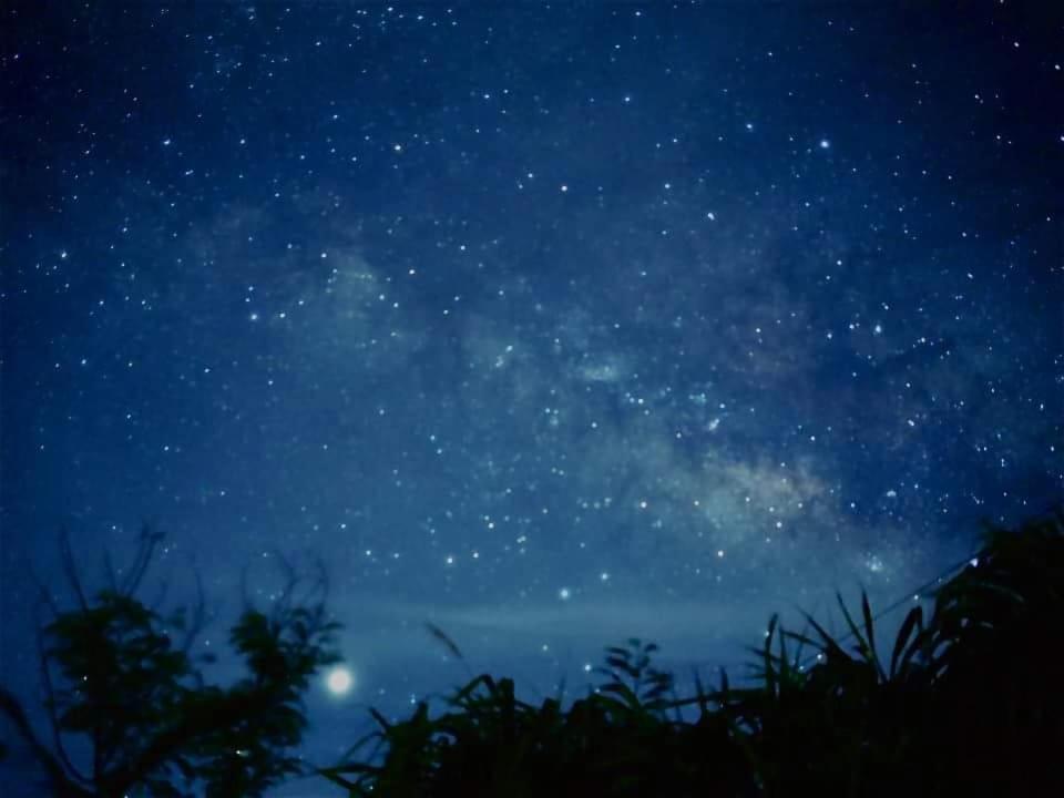 مبيت وإفطار غرين آيلاند ساناساي إن المظهر الخارجي الصورة